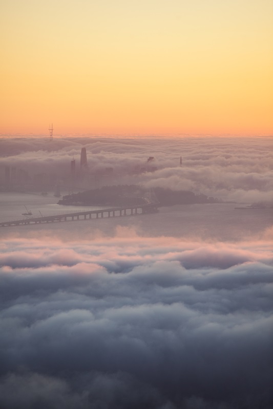 view of sf with fog from berkeley hills