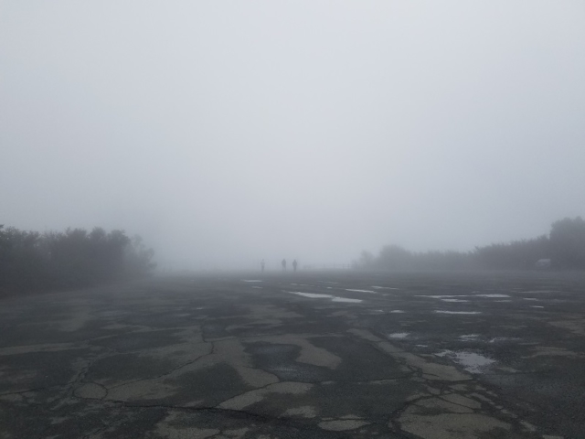 3 silhouettes walking into the mist